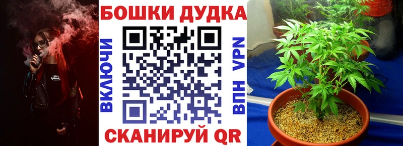 Купить закладку Конопля  COCAIN  ГАШИШ  Alpha PVP  Меф  Шуя