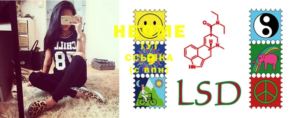 индика Новозыбков