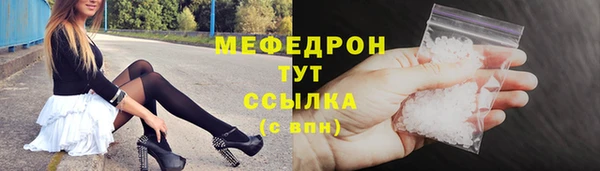 индика Новозыбков